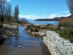 Fase preliminar de observación: Inicio del proyecto